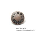 大袋 デザインホック 大 五つ星 ブロンズ 100ヶ PS2324-100