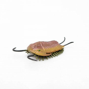 FP-206 オレノイデス ミニモデル 77206