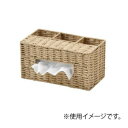 ペンスタンド付きティッシュケース ベージュ CH-537BG