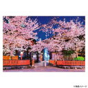 ビバリー 風景日本 (桜)ジグソーパズル 祇園の夜桜 1000ピース 1000-050