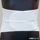 日本衛材 腰部固定帯 ダイヤサポートIII型 3Lサイズ 100cm~110cm 1個 NE-575