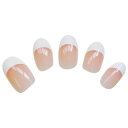 ビューティーネイラー プロフェッショナル スカルプティドアクリリックネイル ネイルキット AKIT-5 フレンチ