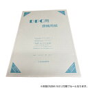 オストリッチダイヤ PPC用原稿用紙 B4 5ミリ方眼ブルー 100枚パック/冊 フ-567