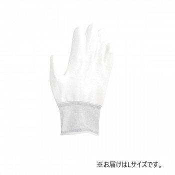   쥿襳ȼ ۥ磻 10 L No.1861