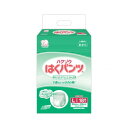 ハクゾウメディカル ハクゾウはくパンツ スリムタイプ L 18枚×6袋 3180345