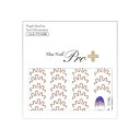 Sha-Nail Pro PLUS 写ネイル ネイルシール X Rainbow -Slim Wave- XR-P01