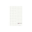 Sha-Nail Pro 写ネイル ネイルシール フラワーフレーム(ホワイト) SL-FFM-002