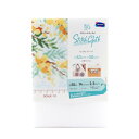 オリムパス STITCH CLOTH No.3800 アイーダ 1006