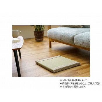 詩織 BE 40×40cm 1122950027301