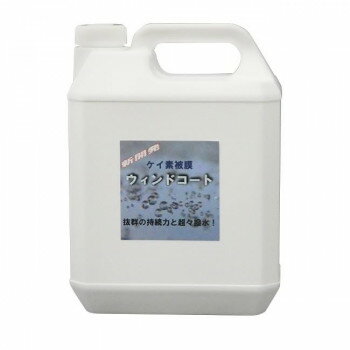 ꥹץ 饹 쥦ɥ 4L H05400