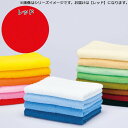 日繊商工 カラータオル アーバンカラー バスタオル 11 レッド UR2500