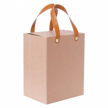 ナカバヤシ　ライフスタイルツール　収納カバン　クラフト　LST-SK01KR