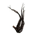 Casto カスト ドライフラワー Palm Finger Brown 58277