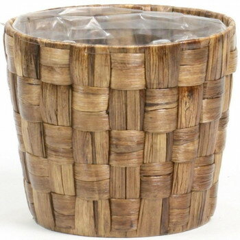  ҥ䥷󥹥ȭ6 369-60DB