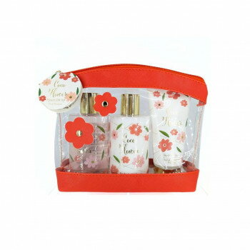 ե ݡå(롦ܥǥ󡦥ܥǥ) RD ե֡ 480111