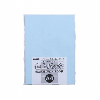 �ߥ塼�� ����ѥå� ������� A4 �忧