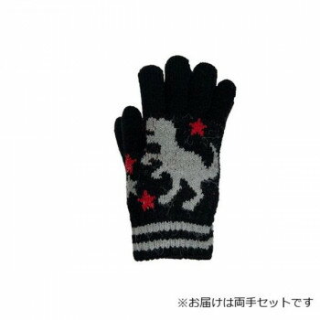 �Ҷ��Ѽ��� ��ε �ƥ���Υ����륹 �ե꡼ �֥�å�(5) 004550624