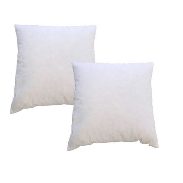 【2個セット】 シンプル 羽根クッション中材 【ベージュ 幅50cm】 正方形 スモールフェザー100% 日本製 〔リビング 寝室〕