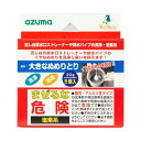 (まとめ) アズマ工業大きなぬめりとり CH858 1パック(5個) 【×2セット】