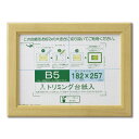 賞状額 絵画額 ポスター額 コピー用紙 トリミング用紙付き SP B5 収納寸法:182×257mm ナチュラル 額 額縁 フレーム