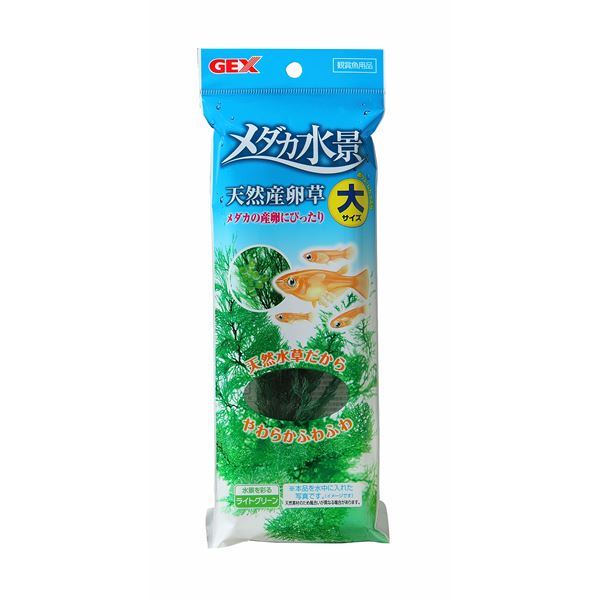 （まとめ）メダカ水景 天然産卵草 大【×3セット】 (観賞魚/水槽用品)