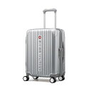 エム・エス・シーSWISS MILITARY CYGNUS(シグナス) 42L メタルシルバー SM-A820 1台