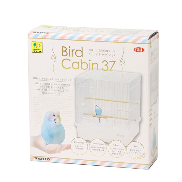 Сɥӥ 37