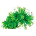 (まとめ)テトラ フレキシブルプラント FP-1【×5セット】 (観賞魚/水槽用品)