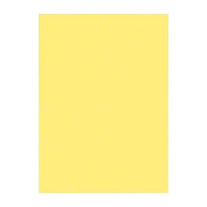 ʤޤȤ ʸƲ ˥塼顼R ͥ 392߽542mm 4NCR-108  100 ڡ2åȡ