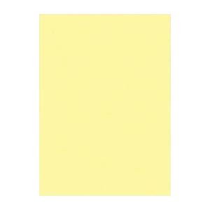 ʤޤȤ ʸƲ ˥塼顼R ͥ 392߽542mm 4NCR-134 饤ȥ 100 ڡ2åȡ