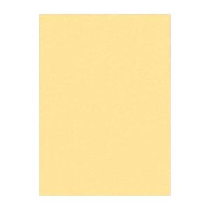 ʤޤȤ ʸƲ ˥塼顼R ͥ 392߽542mm 4NCR-122 ꡼ 100 ڡ2åȡ