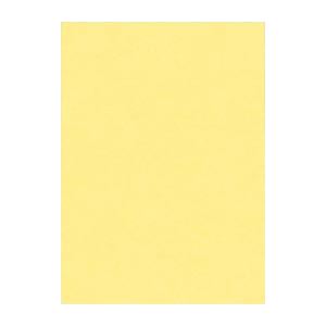 (まとめ) 文運堂 ニューカラーR 四ツ切 横392×縦542mm 4NCR-101 クリーム 100枚入 【×2セット】