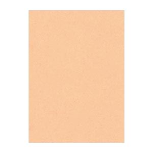 (まとめ) 文運堂 ニューカラーR 四ツ切 横392×縦542mm 4NCR-103 はだいろ 100枚入 【×2セット】