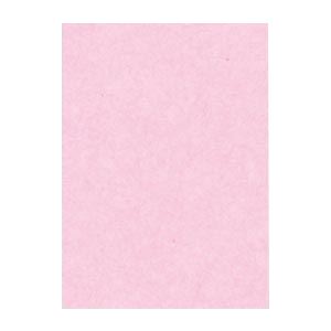 ʤޤȤ ʸƲ ˥塼顼R ͥ 392߽542mm 4NCR-218  100 ڡ2åȡ