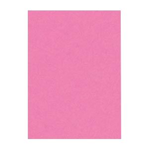 (まとめ) 文運堂 ニューカラーR 四ツ切 横392×縦542mm 4NCR-242 ももいろ 100枚入 【×2セット】