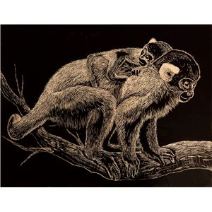 (ޤȤ)ƥå åܡ  ڡ40åȡ