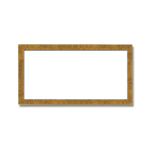 【長方形額】木製額 縦横兼用額 前面アクリル仕様 ■金（銀）長方形額（500×250mm）金柄紋