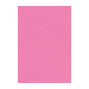 (まとめ) 文運堂 ニューカラーR 八ツ切 横271×縦392mm 8NCR-242 ももいろ 100枚入 【×2セット】