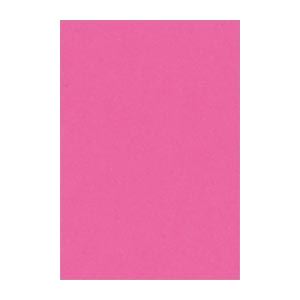 (まとめ) 文運堂 ニューカラーR 八ツ切 横271×縦392mm 8NCR-232 こいもも 100枚入 【×2セット】