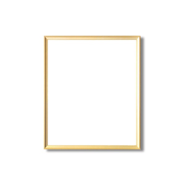 デッサン額縁 額 フレーム 〔 大衣サイズ 509×394mm 〕 ゴールド 壁掛けひも付き 化粧箱入り 5003