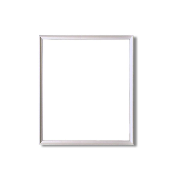 デッサン額縁 額 フレーム 〔 大衣サイズ 509×394mm 〕 シルバー 壁掛けひも付き 化粧箱入り 5003