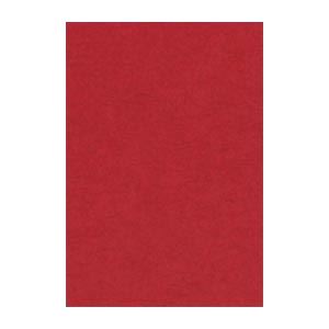 ʤޤȤ ʸƲ ˥塼顼R Ȭ 271߽392mm 8NCR-550  100 ڡ2åȡ