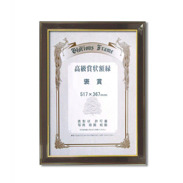 〔 高級 賞状額 〕 樹脂賞状額 光輝 褒賞 517×367mm 壁掛けひも 額 額縁 フレーム