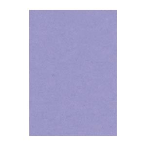 ʤޤȤ ʸƲ ˥塼顼R Ȭ 271߽392mm 8NCR-217 դ餵 100 ڡ2åȡ