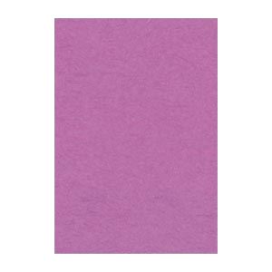 (まとめ) 文運堂 ニューカラーR 八ツ切 横271×縦392mm 8NCR-231 あかむらさき 100枚入 【×2セット】