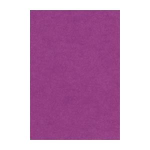 (まとめ) 文運堂 ニューカラーR 八ツ切 横271×縦392mm 8NCR-241 むらさき 100枚入 【×2セット】