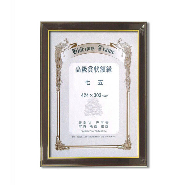 〔 高級 賞状額 〕 樹脂賞状額 光輝 七五 424×303mm 壁掛けひも 額 額縁 フレーム