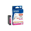 (Ɩp30Zbg) EPSON Gv\ CNJ[gbW   ICM75  }[^