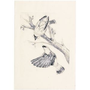 (まとめ)アーテック PP板(マット半透明板/版画材) 中 360×240×0.5mm 片面スリ加工 【×40セット】