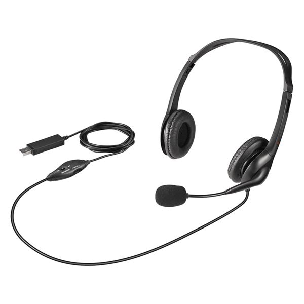 Хåեʥץ饤 PCإåɥå USB³ Υ󥻥󥰥ޥ ֥å BSHSHUS310BK